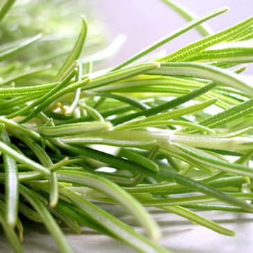 Elixir Prècieux - Purifiant-419 Elixir Prècieux - Purifiant-419