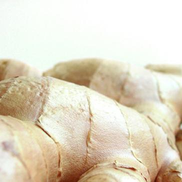 Elixir Prècieux - Règènèrant-423 Elixir Prècieux - Règènèrant-423