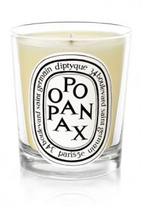 Opopanax candela -0