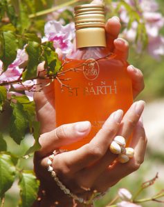 Huile d'Avocat 200-0