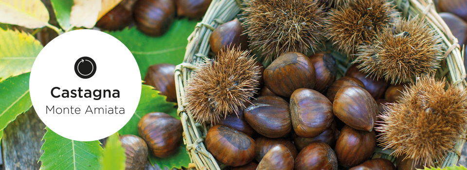 Castagna Lozione Corpo Nutriente-5074 Castagna Lozione Corpo Nutriente-5074