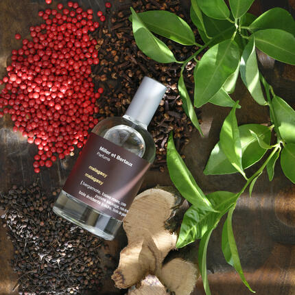 Miller&Bertaux Malagasy_195 0919 b2_1