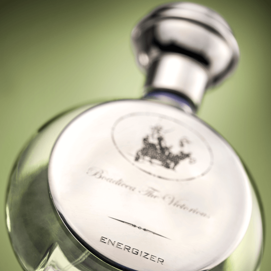 btv-energizer-back-shield