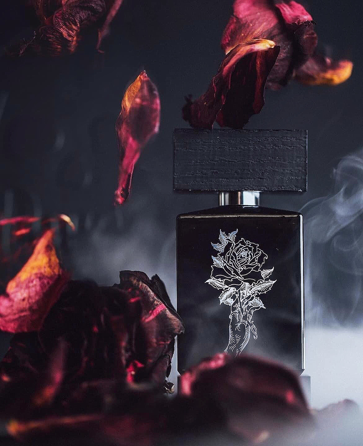 93EDFBB8-D1B6-4F41-A7C8-9840710FF5CB